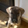 Jou nat profil fotoğrafı