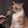@sadlilgay's profile picture