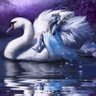 Swan profil fotoğrafı