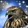 ahmad farouk's profile picture
