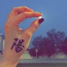 shemo's profile picture