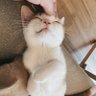 ไอ้อ้วน 13 profil fotoğrafı