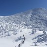 お向かいの太郎 的头像