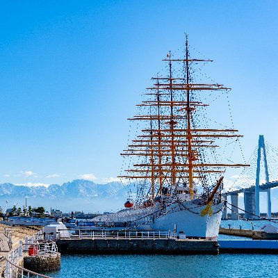 toyama_k_hassin's profile picture
