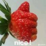 无可无不可's profile picture