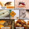 Фото профиля Fumigation And Pest control services in Nairobi