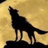 Profilbild von Camuswrs