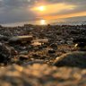 Profilbild von …