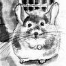 chu_chinchilla's profile picture