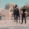 سيف عمشة - Velid Elcasem 的头像