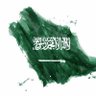 🇸🇦 آآآسي 🧔🏻🇸🇦 的头像