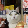 Фото профиля たか