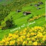 طرجم الألغاز 的头像