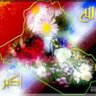 ابو حازم الشمري profil fotoğrafı