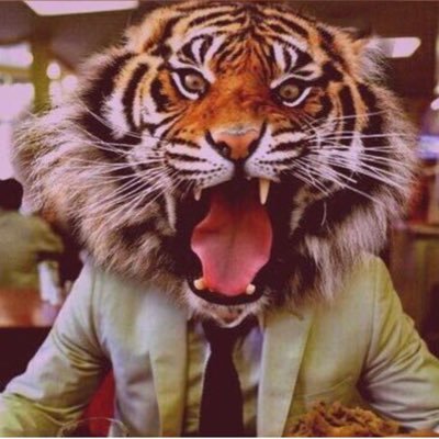 OmerAtakoglu's profile picture
