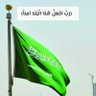 الخبر 🇰🇼🇸🇦 العنزي's profile picture