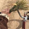 دُعاء🍂. 的头像