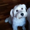 Profilbild von Nickels71