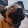 Nunya Business's profile picture