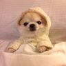 Profilbild von norm respecter