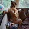 Spudly Tinkergton profil fotoğrafı