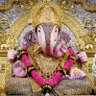 Profilbild von Vijay Yadav
