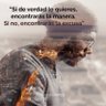 Matias profil fotoğrafı