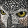 Profilbild von SVina