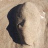 metruk_taş's profile picture