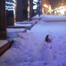 森山夕子@楽曲配信再開 profil fotoğrafı
