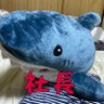 Profilbild von サメ社長 🦈 ship4