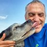 Jason Griffith, DVM's profile picture