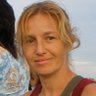 Apcapelli ✳'s profile picture