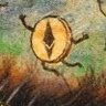 Savashzl's profile picture