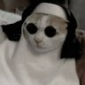 Thais Andrade's profile picture