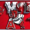 Hogs4Ever's profile picture