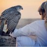 HUSSAIN ALFAHD (Alshammary)'s profile picture