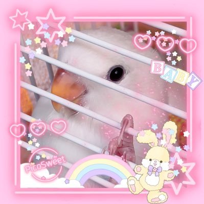 tomato_neko's profile picture