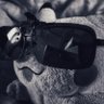 Фото профиля Notintelli_Inc.