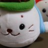 めぐみお's profile picture