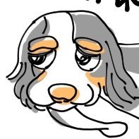 今日の晩ご飯は's profile picture