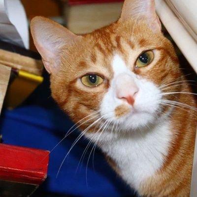 Arron_finance's profile picture