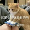明月 profil fotoğrafı