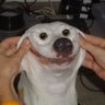 Profilbild von Conr