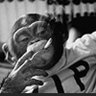 Smoking Chimp's profile picture