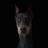 Profilbild von Joselito 72