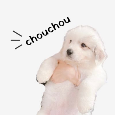 山奥暮らしのシュシュ | 𝕔𝕙𝕠𝕦𝕔𝕙𝕠𝕦's profile picture
