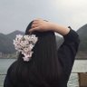 may1 的头像