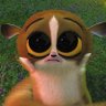 RidharRahman's profile picture
