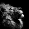 Vedant Korade's profile picture